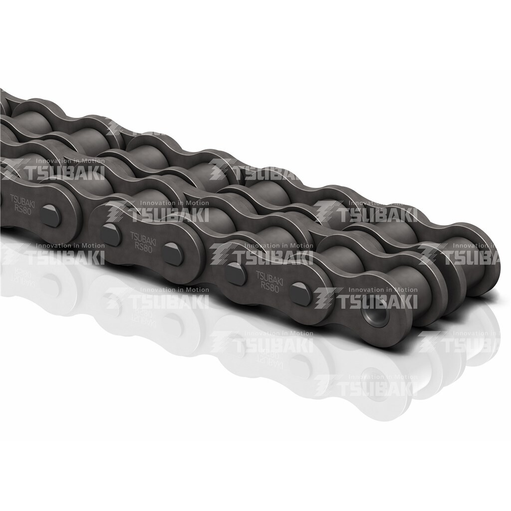 RS60-2-RP Tsubaki ANSI G8 60-2 Duplex rollenketting | OH40253